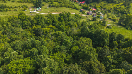 Own Your Slice of East Tennessee Freedom Hawkins County -Auction - image 18