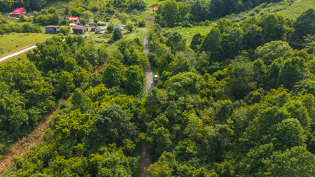 Own Your Slice of East Tennessee Freedom Hawkins County -Auction - image 19