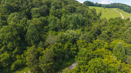 Own Your Slice of East Tennessee Freedom Hawkins County -Auction - image 7