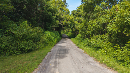 Own Your Slice of East Tennessee Freedom Hawkins County -Auction - image 2
