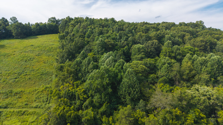 Own Your Slice of East Tennessee Freedom Hawkins County -Auction - image 8