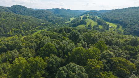 Own Your Slice of East Tennessee Freedom Hawkins County -Auction - image 12
