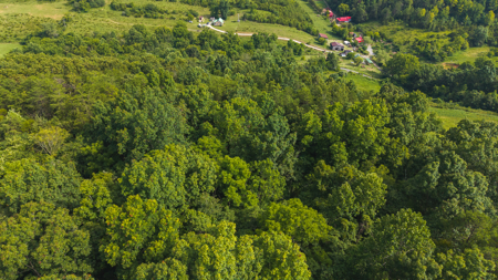 Own Your Slice of East Tennessee Freedom Hawkins County -Auction - image 17