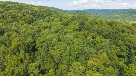 Own Your Slice of East Tennessee Freedom Hawkins County -Auction - image 15