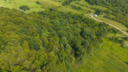 Own Your Slice of East Tennessee Freedom Hawkins County -Auction - image 3