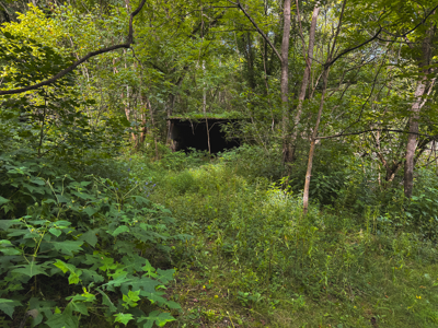 Own Your Slice of East Tennessee Freedom Hawkins County -Auction - image 30