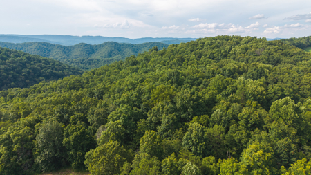 Own Your Slice of East Tennessee Freedom Hawkins County -Auction - image 1