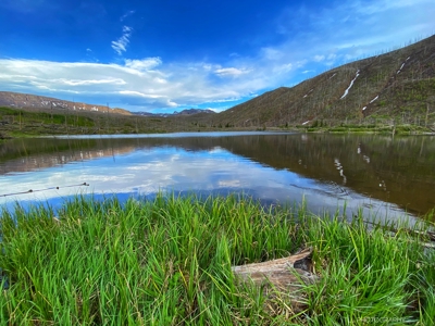 Premier Colorado Wilderness Lodge & Big Game Outfitter for Sale - image 7