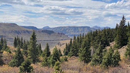 Premier Colorado Wilderness Lodge & Big Game Outfitter for Sale - image 11