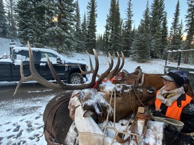 Premier Colorado Wilderness Lodge & Big Game Outfitter for Sale - image 10