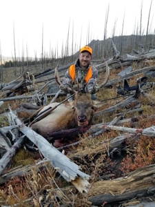 Premier Colorado Wilderness Lodge & Big Game Outfitter for Sale - image 35