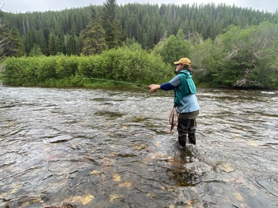 Premier Colorado Wilderness Lodge & Big Game Outfitter for Sale - image 3