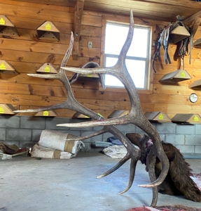 Premier Colorado Wilderness Lodge & Big Game Outfitter for Sale - image 5