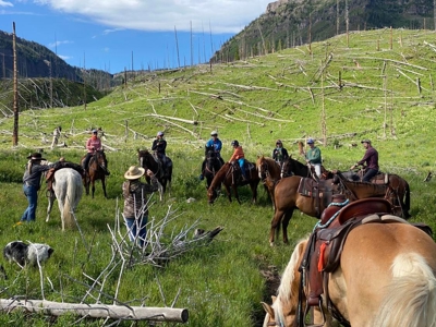 Premier Colorado Wilderness Lodge & Big Game Outfitter for Sale - image 30
