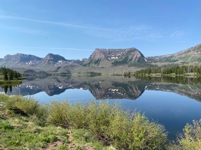 Premier Colorado Wilderness Lodge & Big Game Outfitter for Sale - image 4