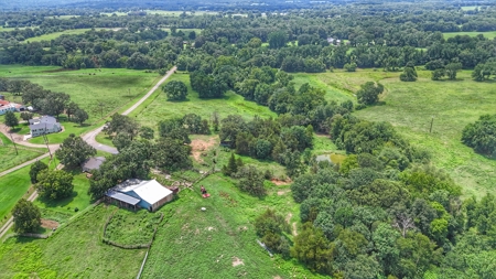 Home on Acreage in Paris, Arkansas! - image 36
