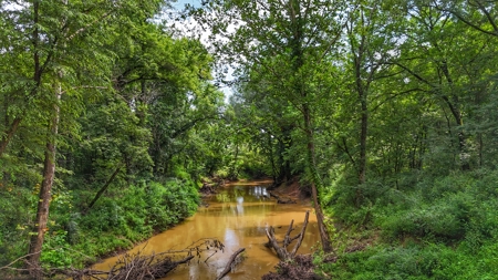 Home on Acreage in Paris, Arkansas! - image 32