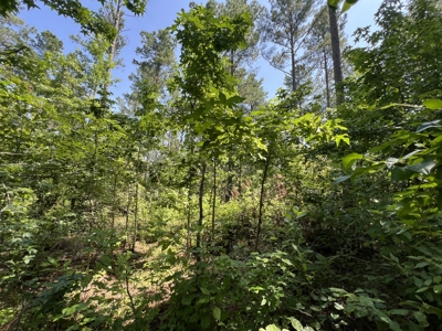 Two 3 to 5 Acre Wooded Lots For Sale near Searcy, AR - image 3