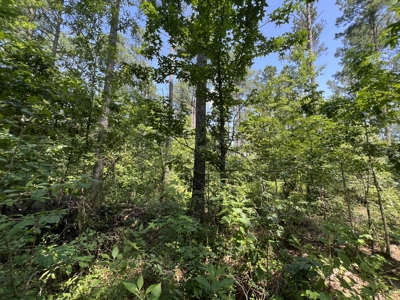 Two 3 to 5 Acre Wooded Lots For Sale near Searcy, AR - image 4