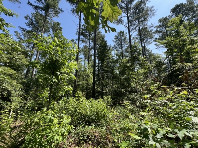 Two 3 to 5 Acre Wooded Lots For Sale near Searcy, AR - image 5