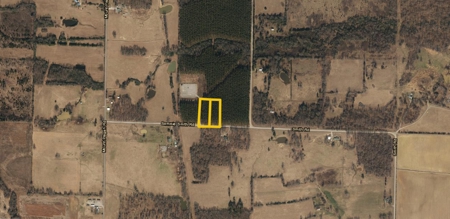 Two 3 to 5 Acre Wooded Lots For Sale near Searcy, AR - image 11