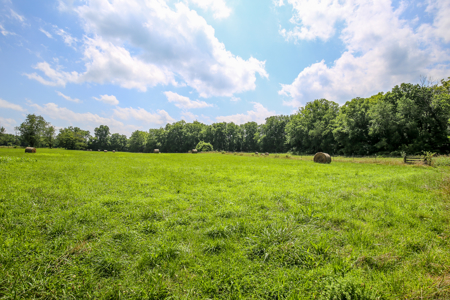 14± Acre Farmstead for Sale Near Springville, Indiana – Auction - image 16
