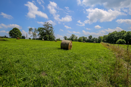 14± Acre Farmstead for Sale Near Springville, Indiana – Auction - image 17