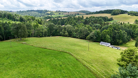 16.8 Acre Farm For Sale in Meadows of Dan, Virginia - image 44
