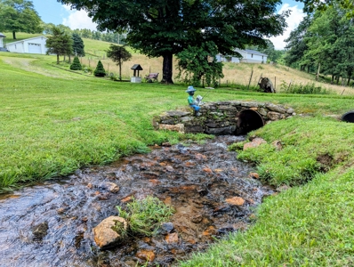 16.8 Acre Farm For Sale in Meadows of Dan, Virginia - image 37