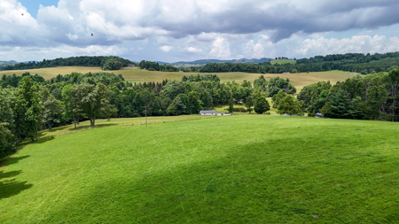 16.8 Acre Farm For Sale in Meadows of Dan, Virginia - image 42