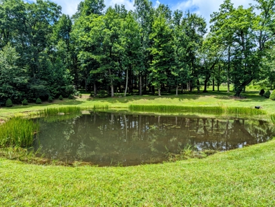 16.8 Acre Farm For Sale in Meadows of Dan, Virginia - image 39