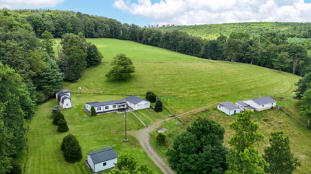 16.8 Acre Farm For Sale in Meadows of Dan, Virginia - image 4