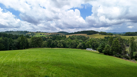16.8 Acre Farm For Sale in Meadows of Dan, Virginia - image 43