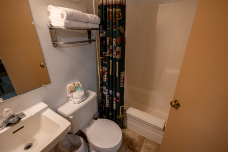 Ute Bluff Lodge, Cabins & RV Park For Sale – South Fork, Colorado - image 26