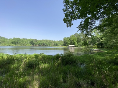 Lakefront Lot in Cass County, TX for Sale - image 20