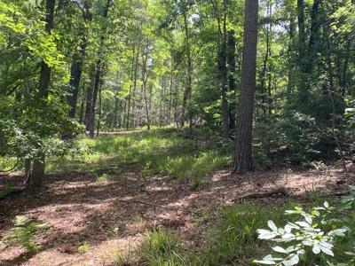 Lakefront Lot in Cass County, TX for Sale - image 21