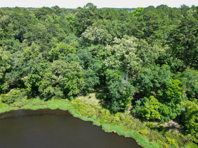 Lakefront Lot in Cass County, TX for Sale - image 4