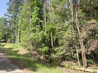 Lakefront Lot in Cass County, TX for Sale - image 10