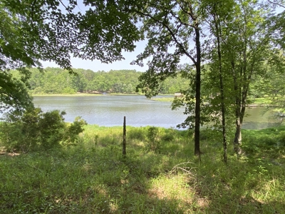 Lakefront Lot in Cass County, TX for Sale - image 16