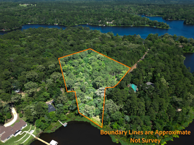 Lakefront Lot in Cass County, TX for Sale - image 6