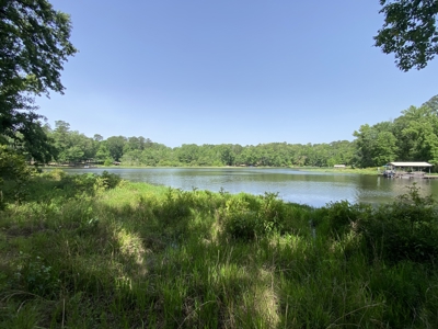 Lakefront Lot in Cass County, TX for Sale - image 17