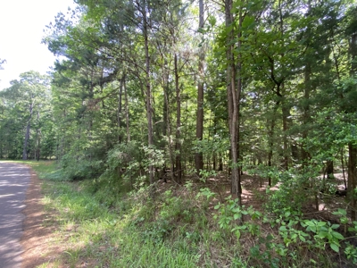 Lakefront Lot in Cass County, TX for Sale - image 13