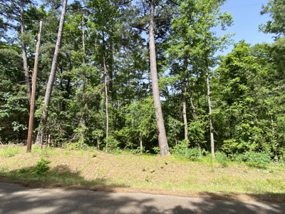 Lakefront Lot in Cass County, TX for Sale - image 11
