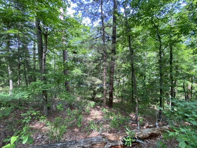 Lakefront Lot in Cass County, TX for Sale - image 14