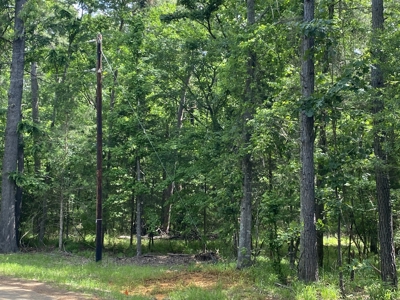 Lakefront Lot in Cass County, TX for Sale - image 8