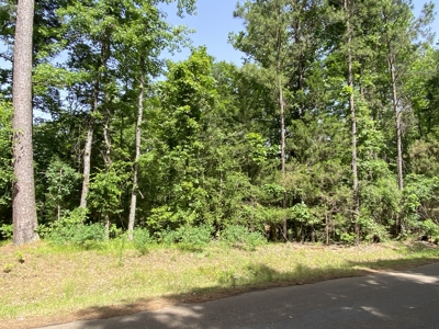Lakefront Lot in Cass County, TX for Sale - image 12
