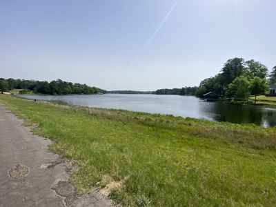 Lakefront Lot in Cass County, TX for Sale - image 7
