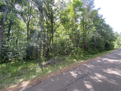 Lakefront Lot in Cass County, TX for Sale - image 9