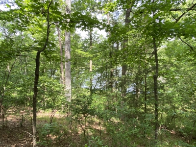 Lakefront Lot in Cass County, TX for Sale - image 15