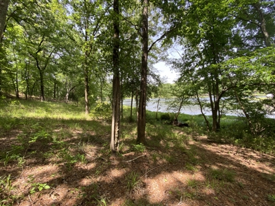 Lakefront Lot in Cass County, TX for Sale - image 22